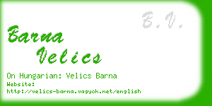 barna velics business card